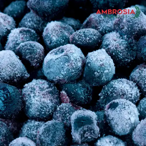 Frozen blueberries by Ambrosia Harvest, packed with natural antioxidants