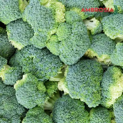 Frozen broccoli florets from Ambrosia Harvest, ideal for healthy meals