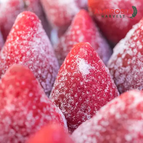 Juicy frozen strawberries from Ambrosia Harvest, perfect for smoothies