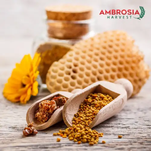 Natural bee pollen from Ambrosia Harvest, rich in protein and enzymes